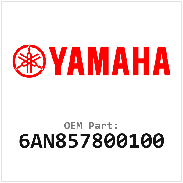 6AN857800100