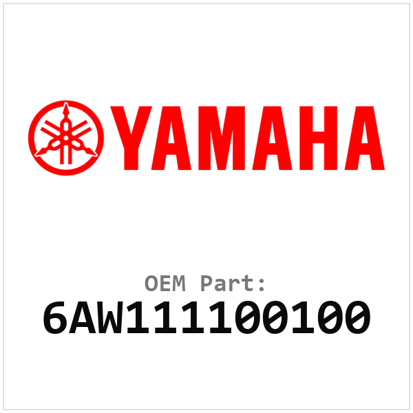 Yamaha OEM 6AW111100100