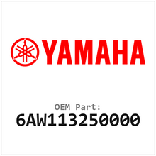6AW113250000