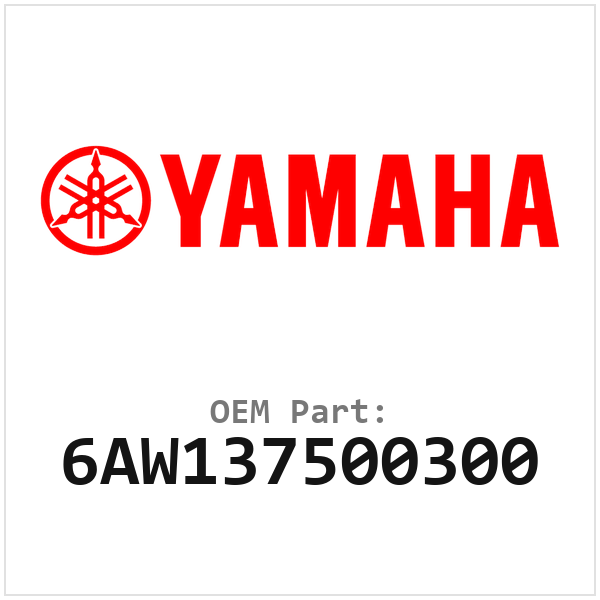 6AW137500300