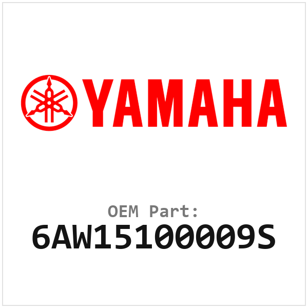 6AW15100009S