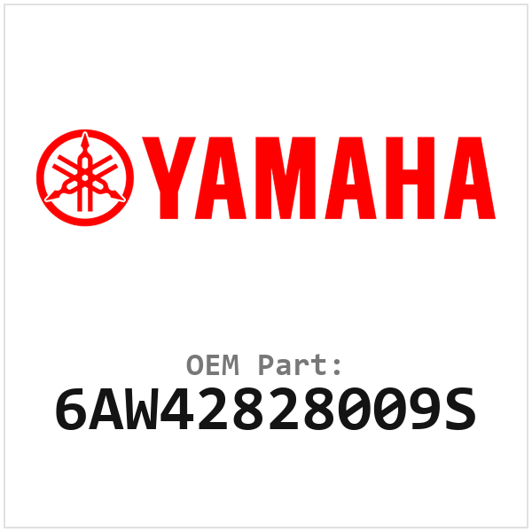 6AW42828009S
