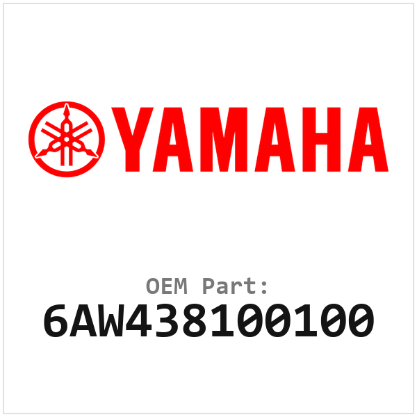 6AW438100100