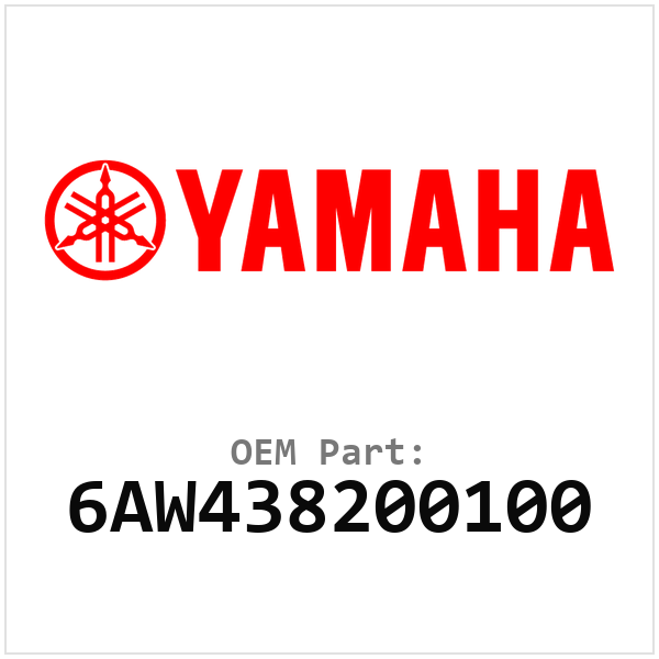 Yamaha OEM 6AW438200100