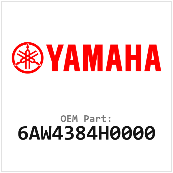 6AW4384H0000