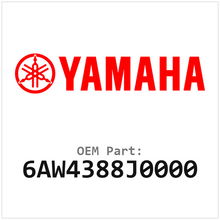 6AW4388J0000