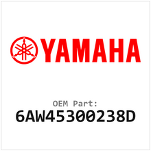 6AW45300238D
