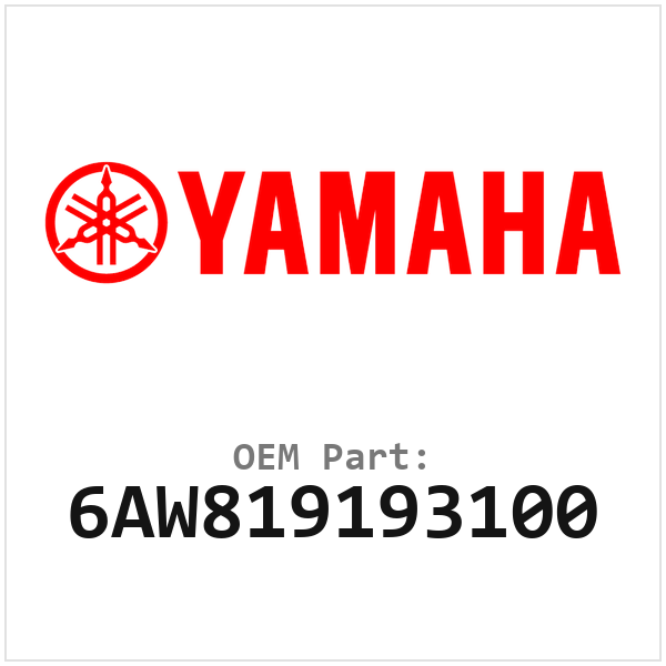 6AW819193100