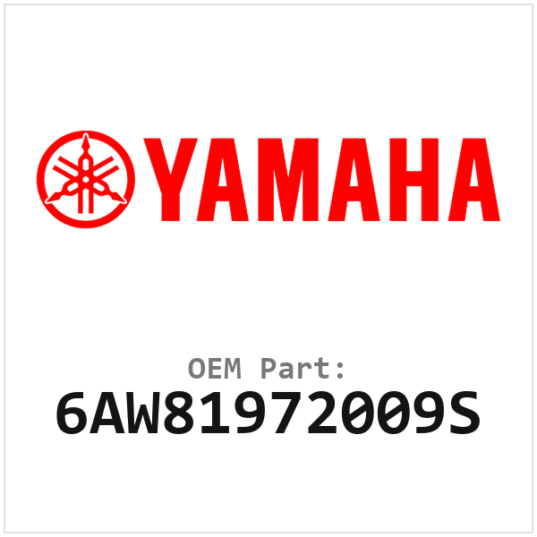 6AW81972009S