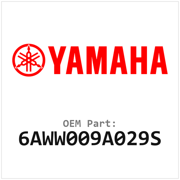 6AWW009A029S