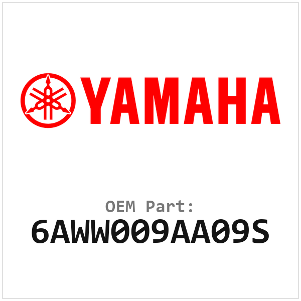 6AWW009AA09S
