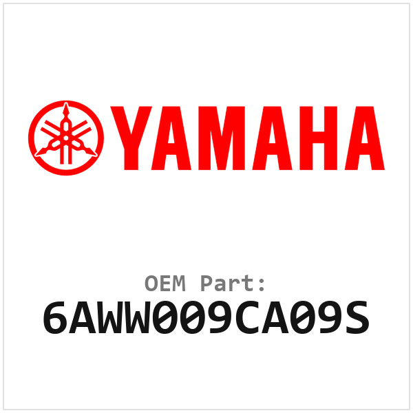 6AWW009CA09S