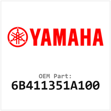 6B411351A100
