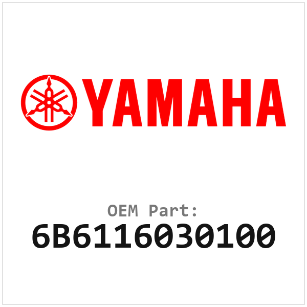 6B6116030100