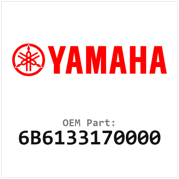 6B6133170000
