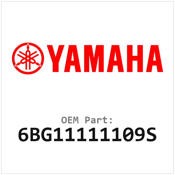 6BG11111109S