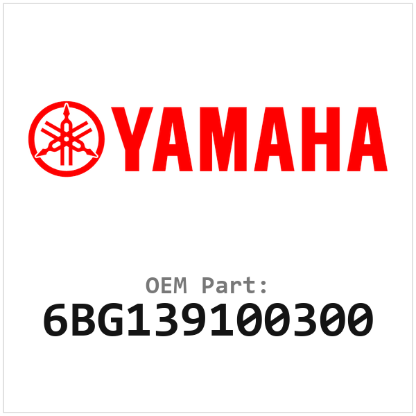 6BG139100300