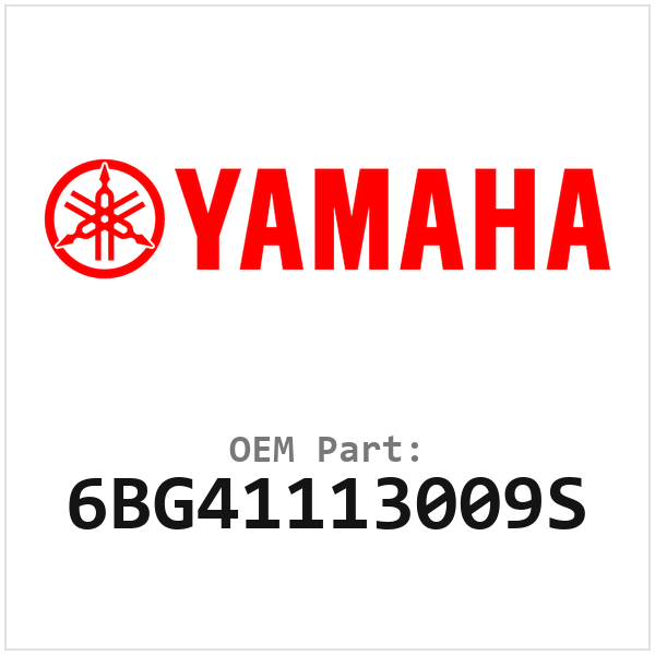 6BG41113009S