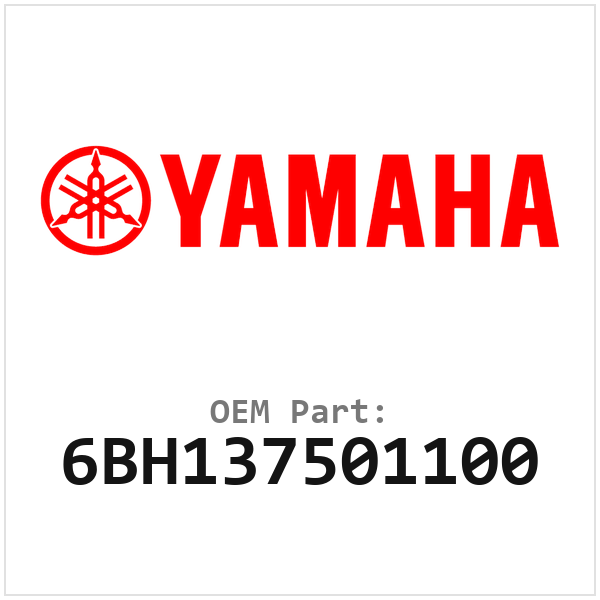 6BH137501100