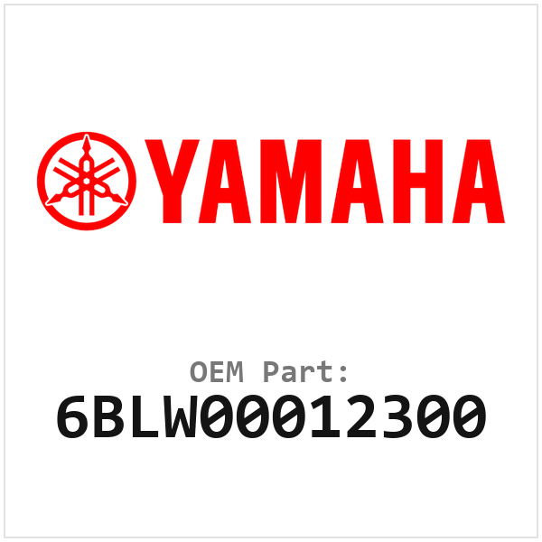 6BLW00012300