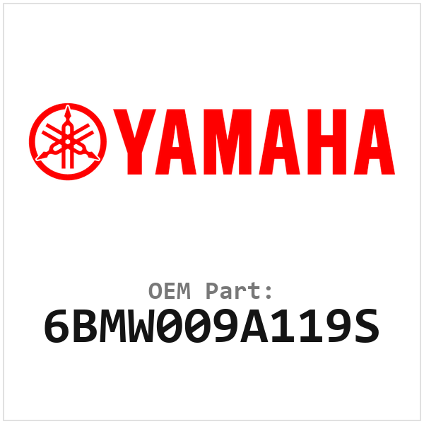 6BMW009A119S