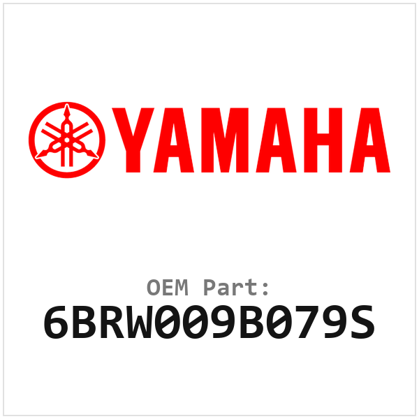 6BRW009B079S