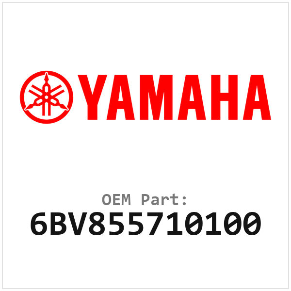 6BV855710100