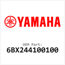 6BX244100100