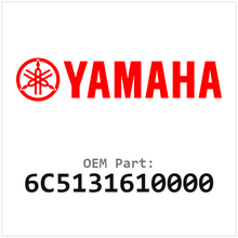 6C5131610000