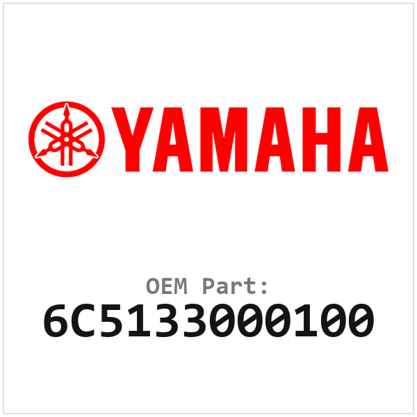6C5133000100