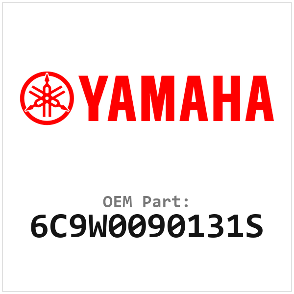6C9W0090131S
