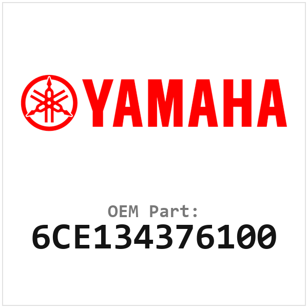 6CE134376100