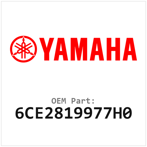 6CE2819977H0