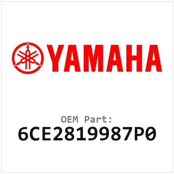6CE2819987P0