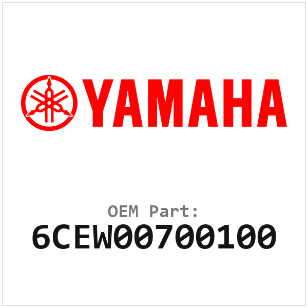 6CEW00700100