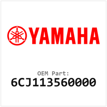 6CJ113560000
