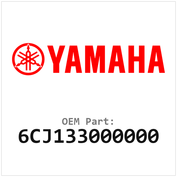 6CJ133000000