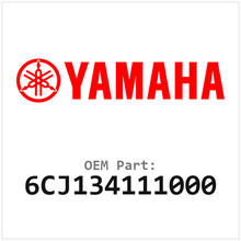 6CJ134111000