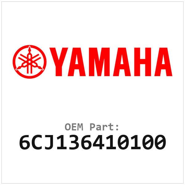 6CJ136410100