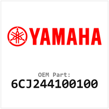 6CJ244100100