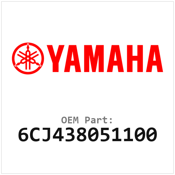 6CJ438051100