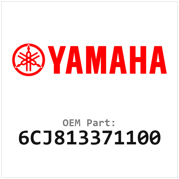 6CJ813371100