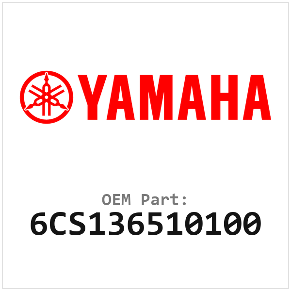 6CS136510100