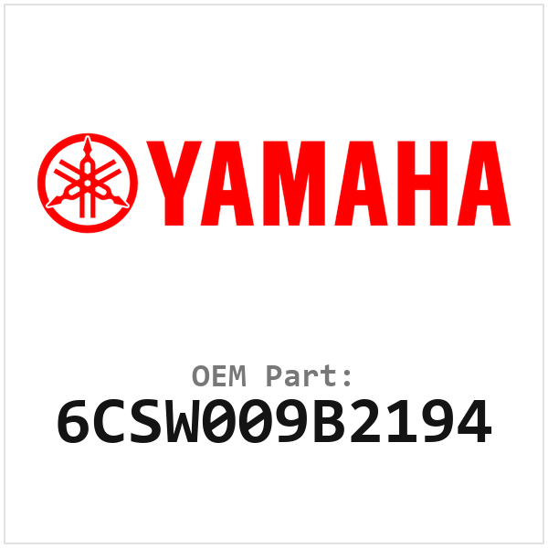 6CSW009B2194