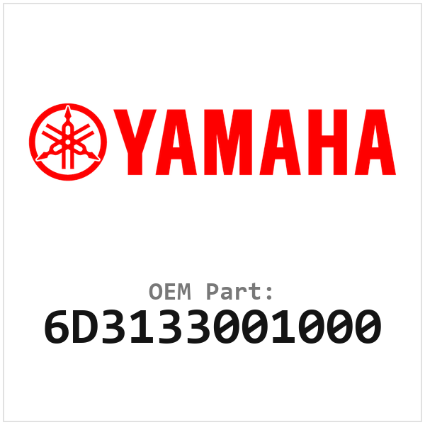 6D3133001000