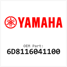 6D8116041100