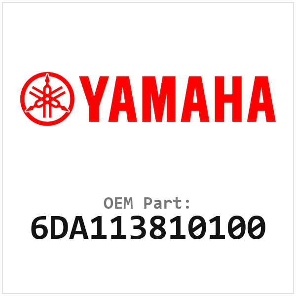 6DA113810100