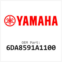 6DA8591A1100