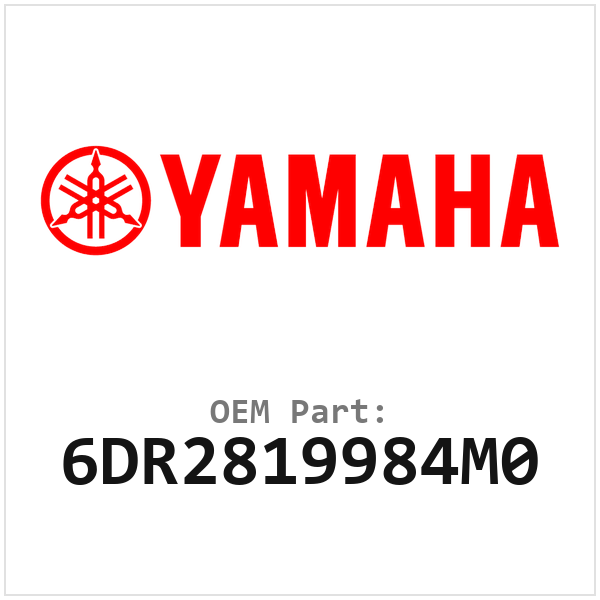 6DR2819984M0