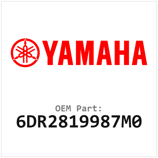 6DR2819987M0